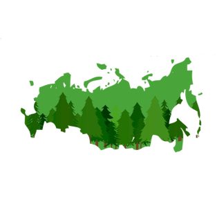 Подключение к ФГИС ЛК