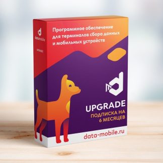 DataMobile Upgrade – подписка на 6 месяцев