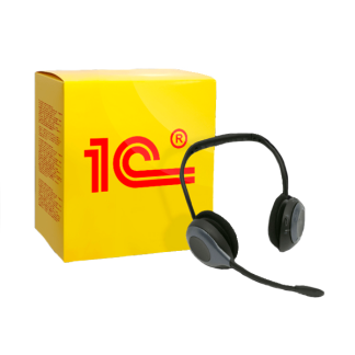 Консультация по 1С (мини-пакет)